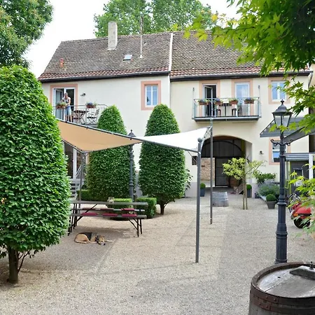 Appartamento Haus Mandelbluete Gimmeldingen Esterno foto